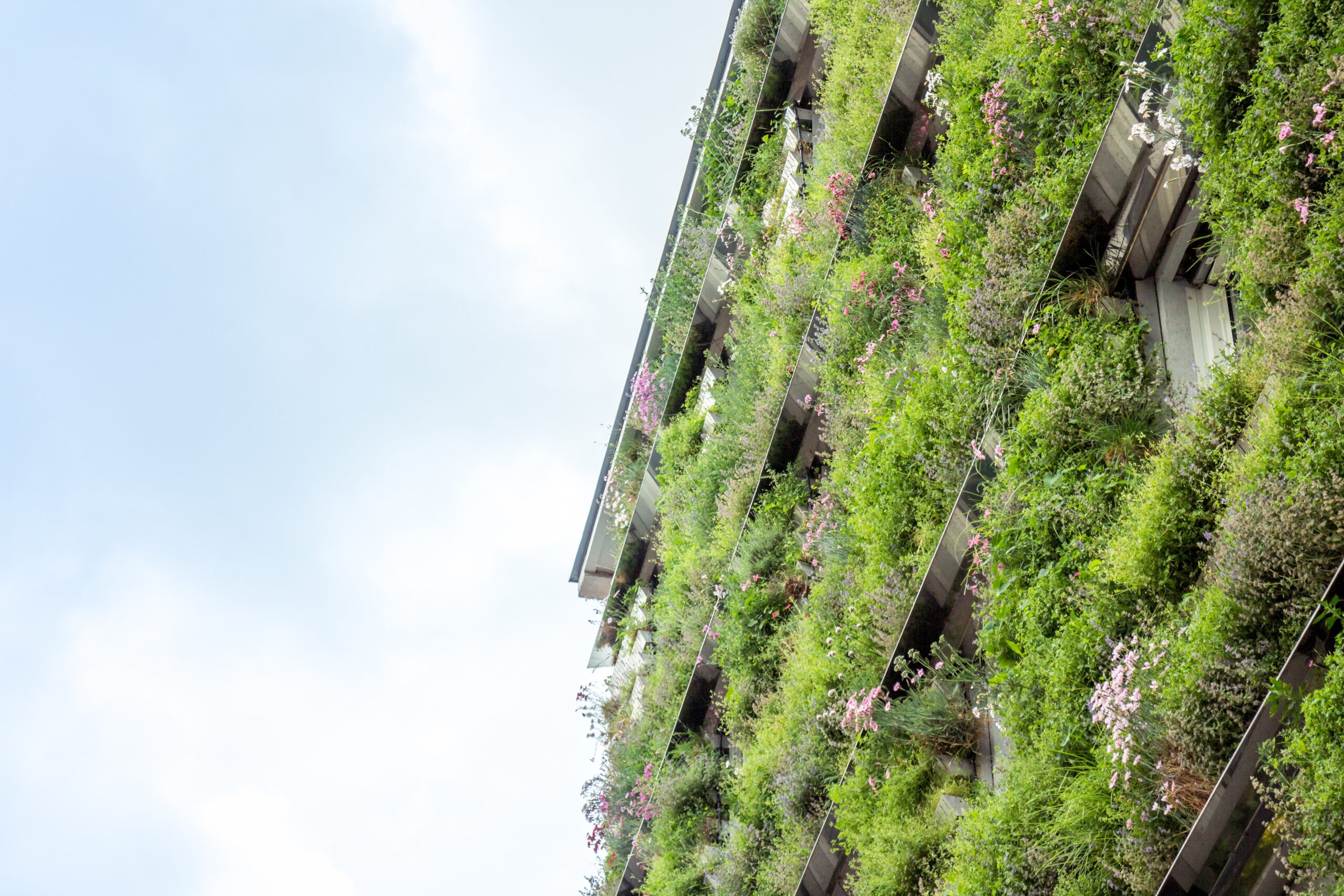 Sustainable Building Solutions